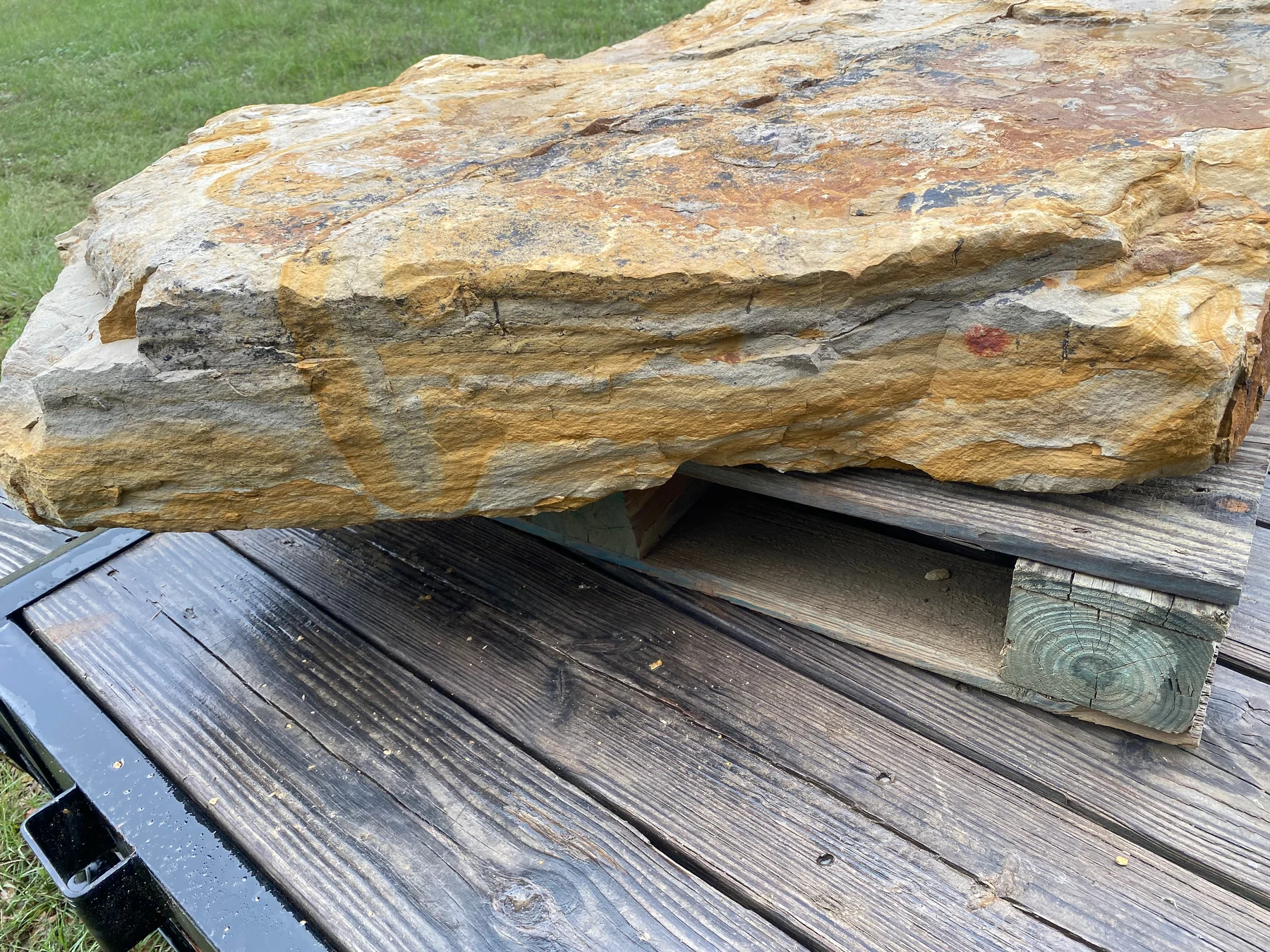 Breckenridge Gold slab edge showing sedimentary layers and cleft texture
